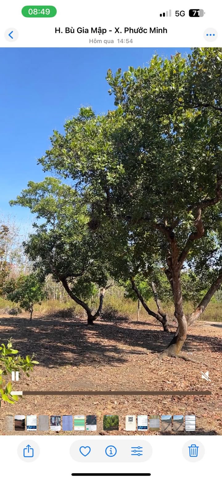 Đất nông nghiệp 2ha tại Đa Kia - Mặt tiền 80m - Giá 3 tỷ hấp dẫn!