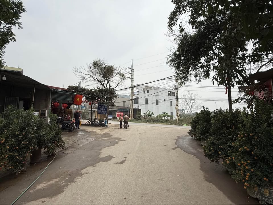 Đất dịch vụ 863m² tại Huyện Sóc Sơn giá chỉ vài triệu/m² - Cơ hội đầu tư hấp dẫn!