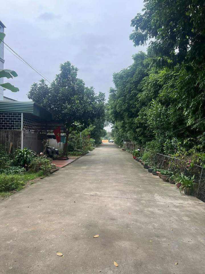 Đất nền Vũ Thê Lang Việt Trì 90m² giá thương lượng - Cơ hội đầu tư hấp dẫn!