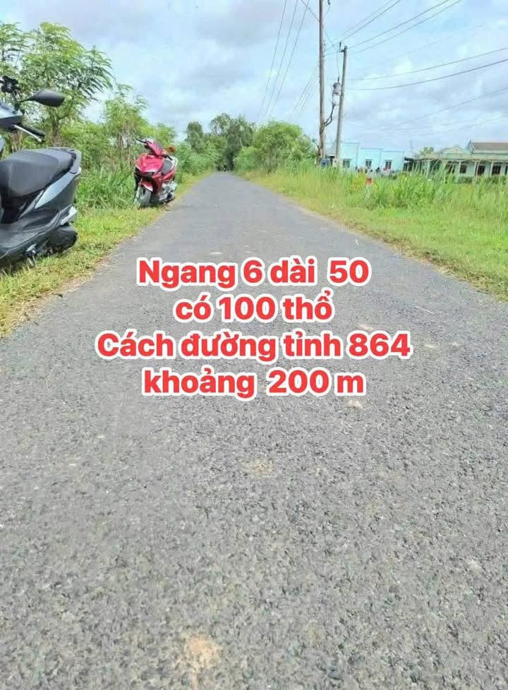 Đất thổ cư xã Bình Tân 300m² giá 465 triệu - Sổ đỏ chính chủ sẵn sàng giao dịch!