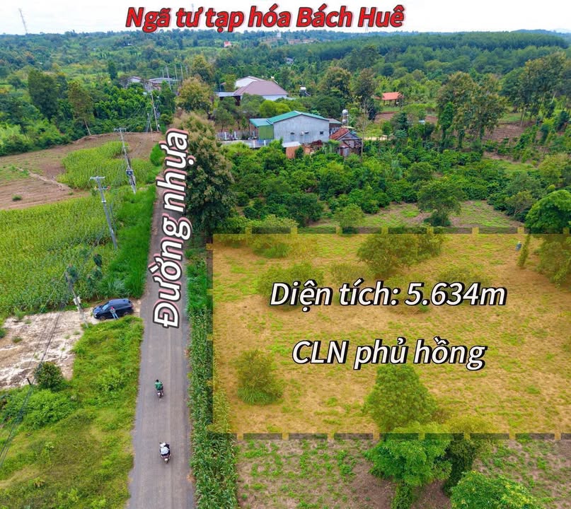 Đất vườn thổ cư xã Ea M'DRóh 5600m² giá 2.1 tỷ - Mặt tiền đường nhựa lớn