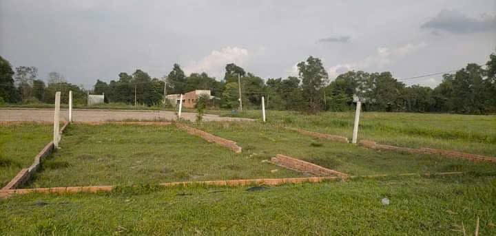 Đất vườn chính chủ 175m² tại ấp Rừng Dầu, Long An - Giá chỉ 720 triệu