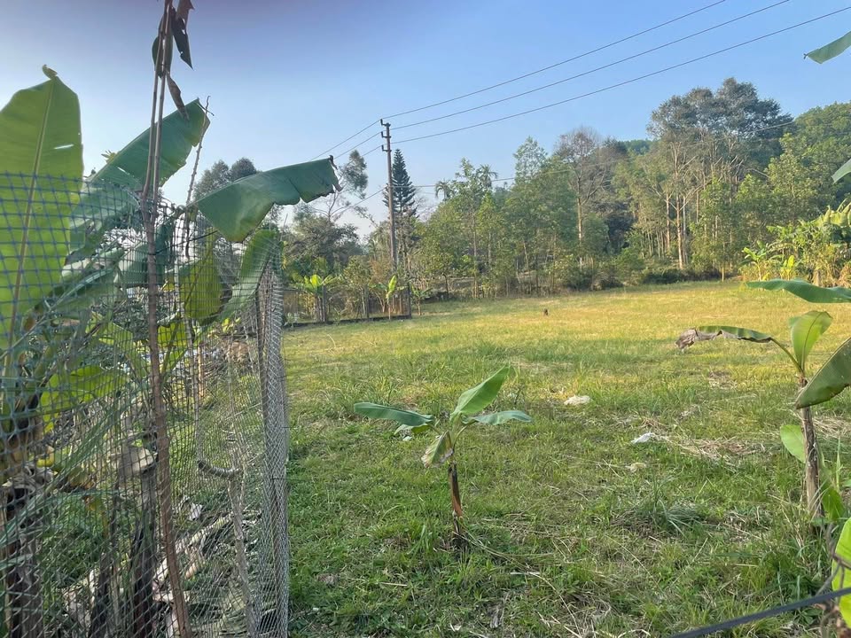 Đất ở Sơn Thủy A Lưới 1.792,8m² giá 1 tỷ - Phù hợp làm homestay, villa