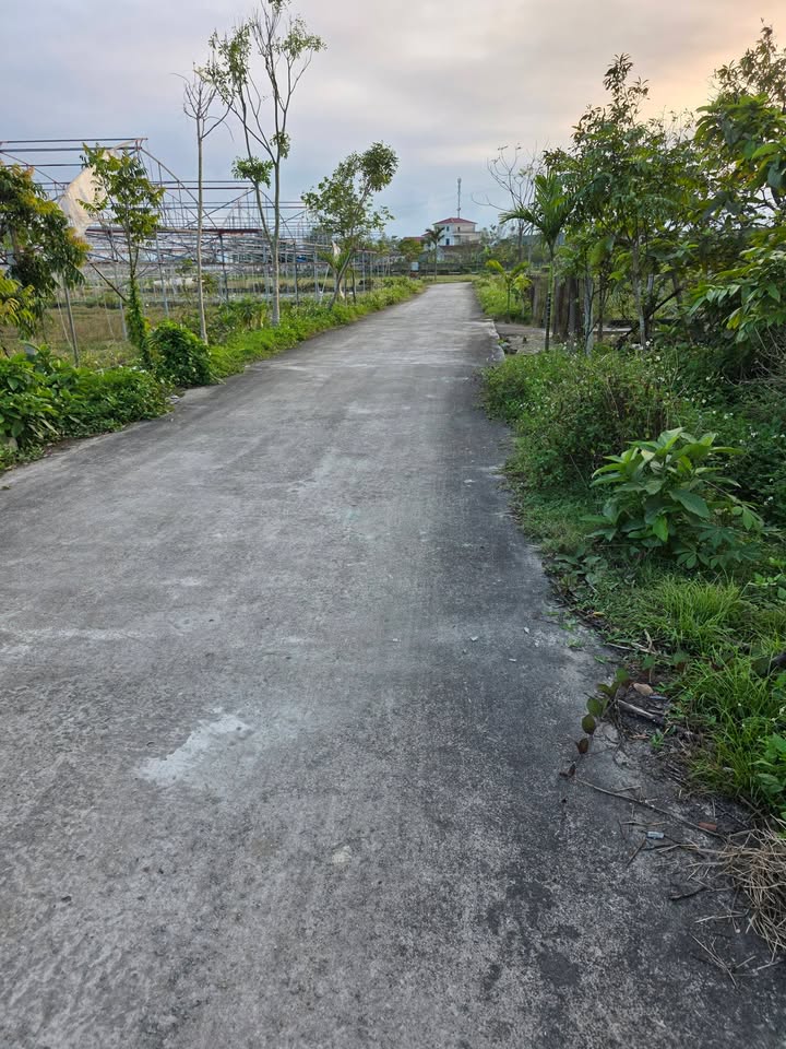 Đất nền Phường Trần Phú, TP. Hà Tĩnh 156m² - Giá 1 tỷ, hướng Đông