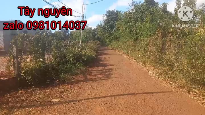 Farm 45,000m² tại Xã AL Bá, Huyện Chư Sê giá 10 tỷ - Đầu tư sinh lời cao!