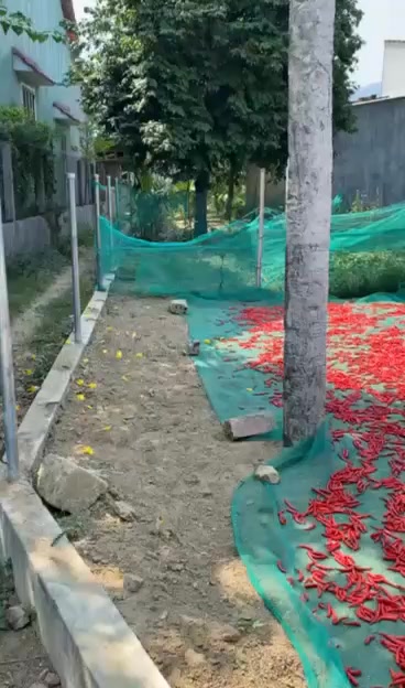 Đất nền Cát Minh, Phù Cát 140m² giá chỉ 290 triệu - Đầu tư sinh lời ngay!