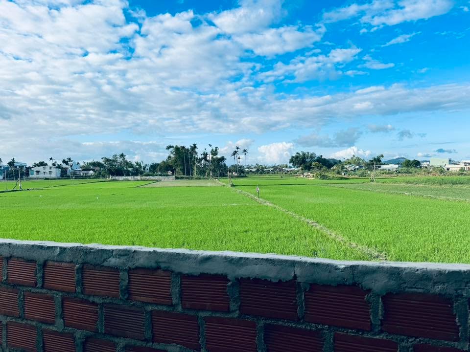 Nhà nguyên căn gác lỡ tại Nhơn Phú - Giá chỉ từ 2 triệu/tháng, dọn vào ở ngay!