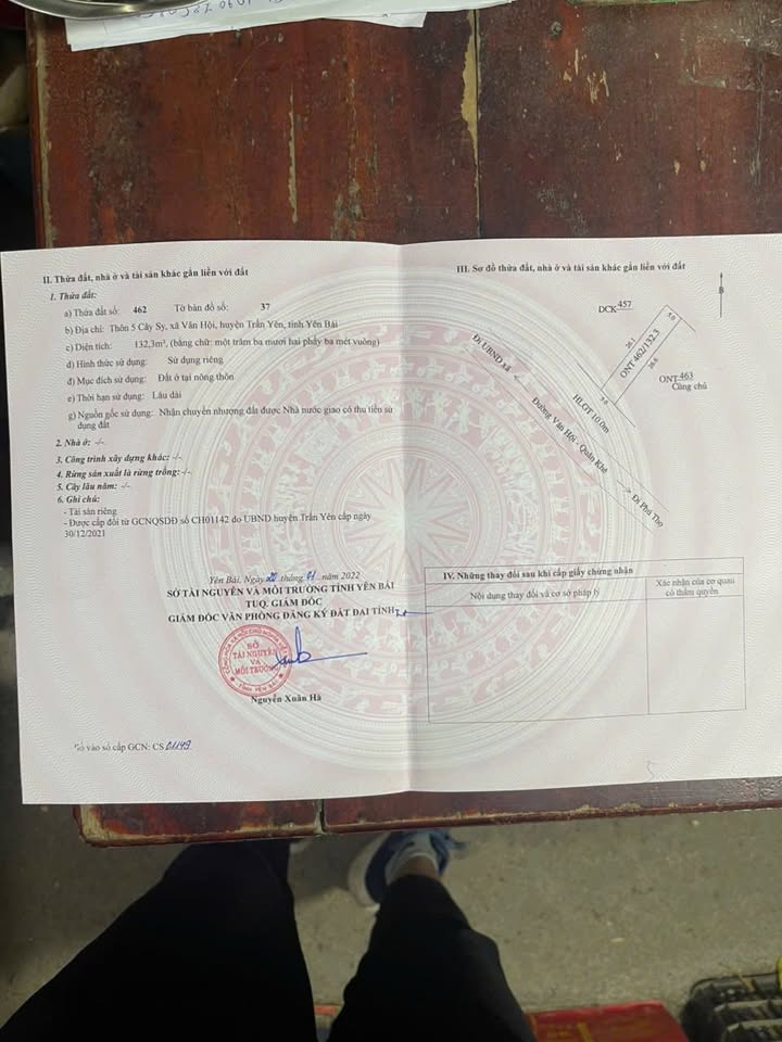 Đất nền Vân Hội Trấn Yên 134m² giá đầu tư - Sổ đỏ riêng từng lô!