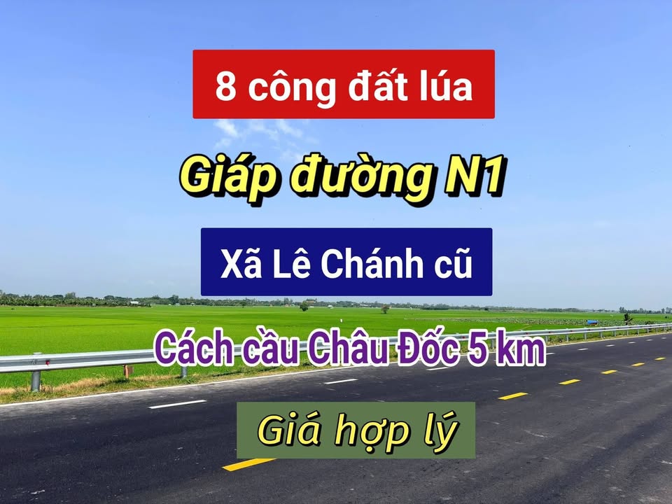 Đất nông nghiệp 7996m² tại Xã Châu Phong, An Giang - Giá 2.4 tỷ, sổ hồng chính chủ!