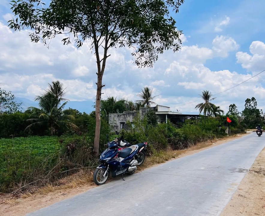 Đất nền thổ cư 730m² tại Ninh Sim, Ninh Hòa - Giá chỉ 900 triệu