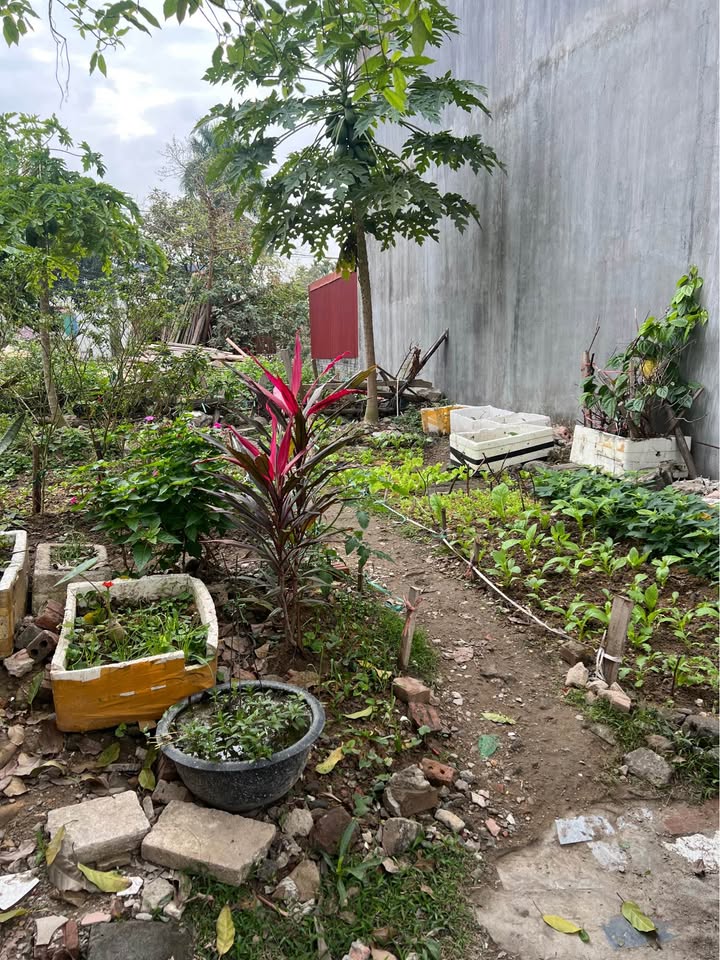 Đất trống mặt đường Đống Đa, An Dương, 55,6m² - Đầu tư sinh lời ngay!