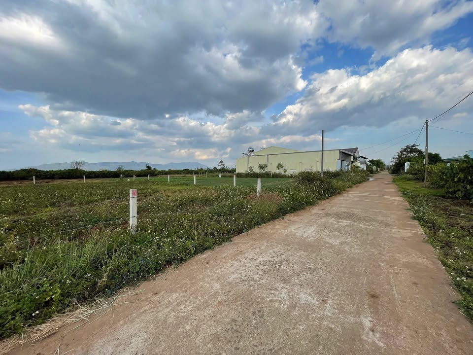 Đất vườn Thị Xã An Khê 1,300m² giá 1.4 tỷ - Tiềm năng sinh lời cao!