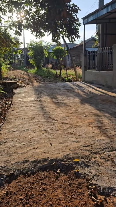 Farm 1,2ha tại xã Ia Kly, huyện Chư Prông, giá 2,2 tỷ - Đầu tư sinh lời hấp dẫn!