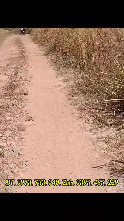 Đất nông nghiệp 2ha tại xã Ia Mơ, huyện Chư Prông, Gia Lai - Giá chỉ 260 triệu!