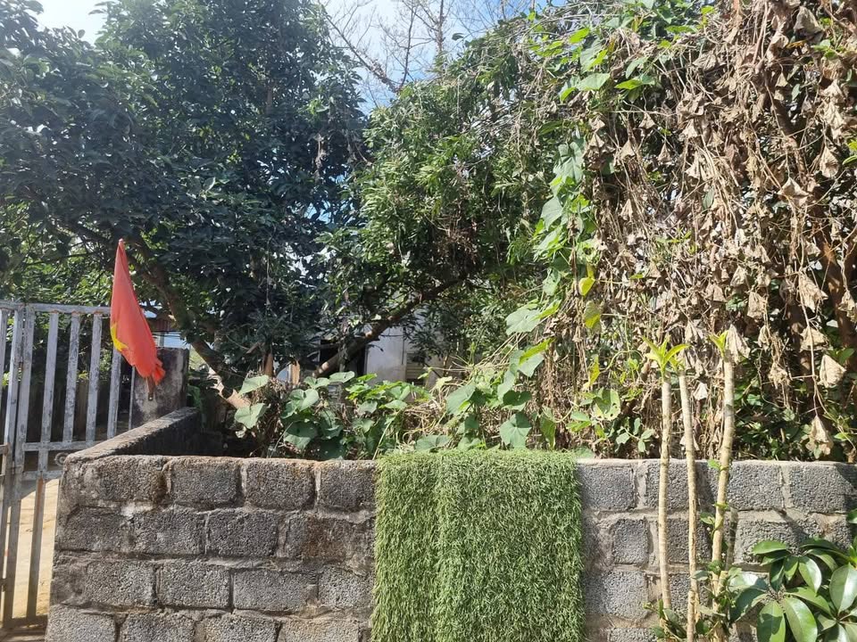 Đất nền Phường Đông Phong 125m² giá 500 triệu - Sổ đỏ chính chủ