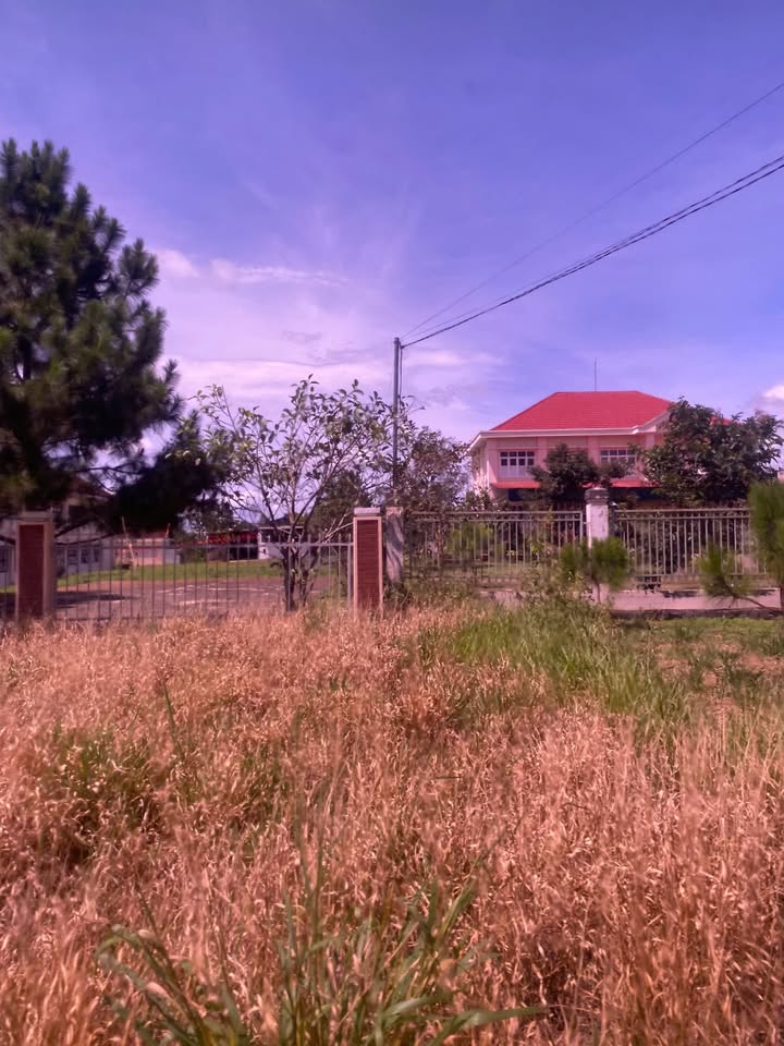 Đất vườn 1001m² tại Tân Hà, Lâm Hà giá 779 triệu - Cơ hội đầu tư sinh lời!