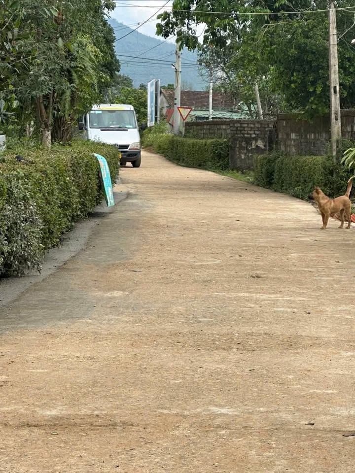 Đất nền Thôn Mỹ Lạc, Xã Kỳ Sơn, 185m² giá 500 triệu - Cơ hội đầu tư hấp dẫn!