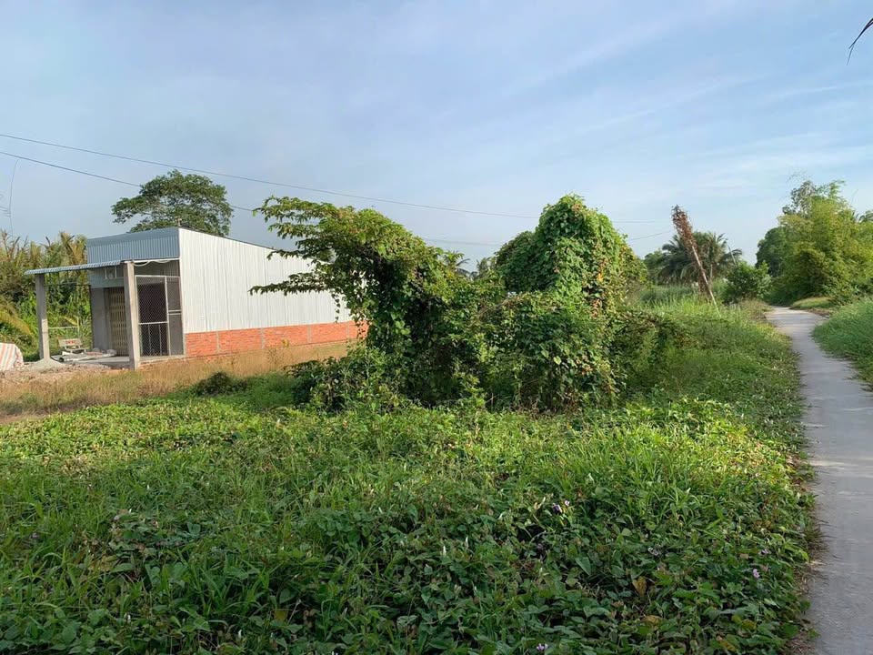 Đất thổ cư 167,3 m² xã Thạnh Lộc - Đầu tư sinh lời hấp dẫn!