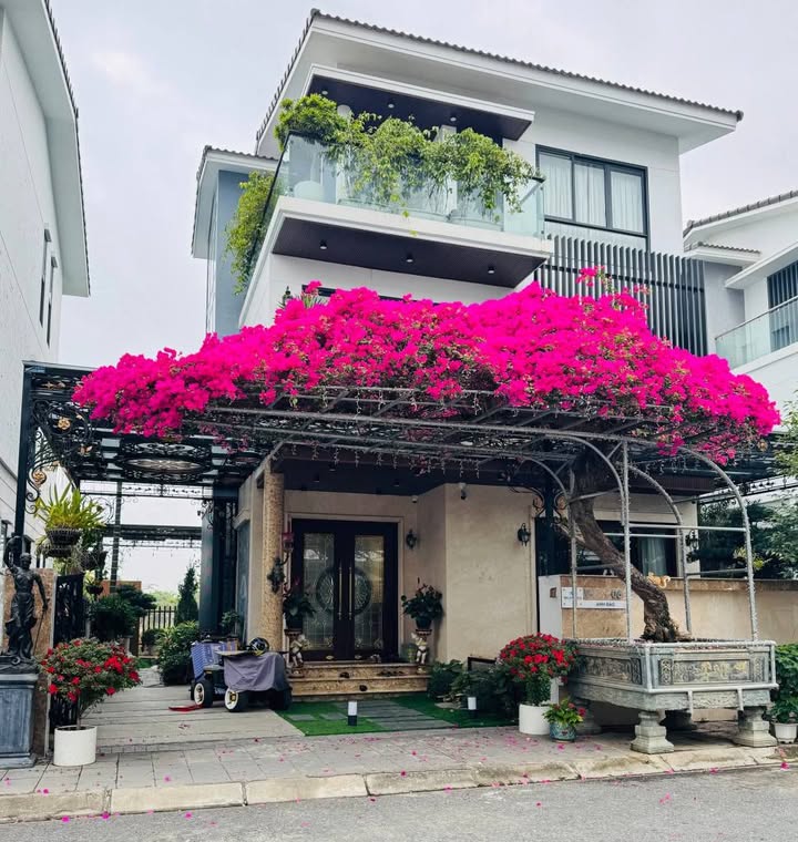 Lô đất Vườn Hồng, Đông Hải 150m² giá 9.3 tỷ - Đầu tư sinh lời ngay!