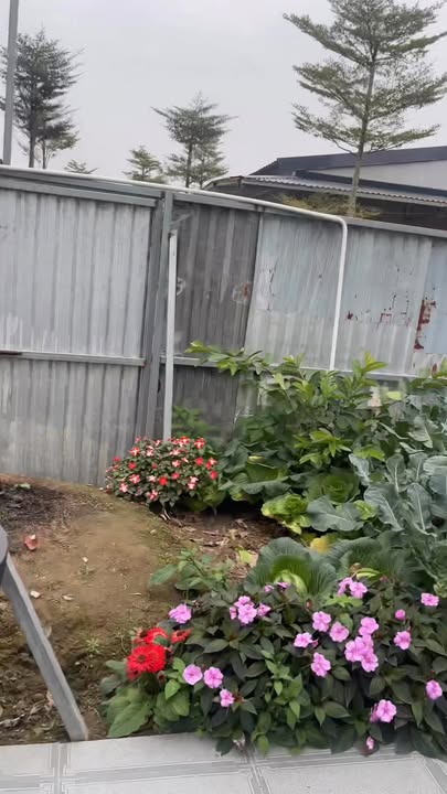 Biệt thự nhà vườn Tả Thanh Oai 300m² giá 3 tỷ - Không thể bỏ lỡ!