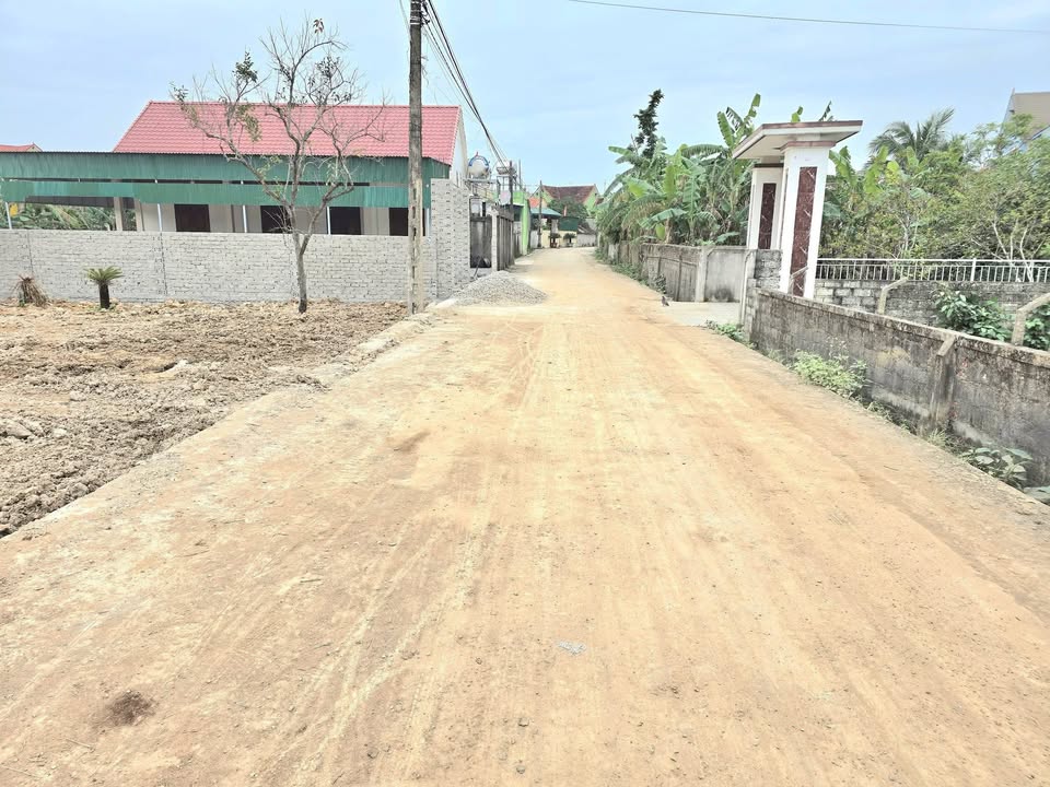 Đất nền Huyện Yên Thành 156m² - Cơ hội đầu tư sinh lời ngay gần khu phố sầm uất!