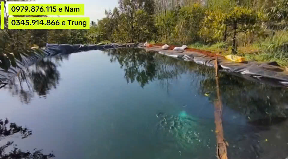 Đất nông nghiệp Đắk Nông 1,2ha giá 3,4 tỷ - Vị trí đẹp, sẵn sàng khai thác!