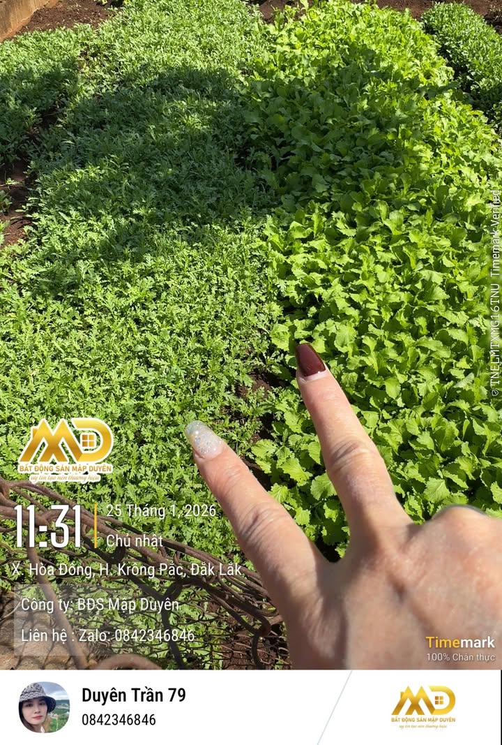 FrontHouse tại Xã Ea Phê, Huyện Krông Pắc 320m² giá 1 tỷ - Kinh doanh đa dạng