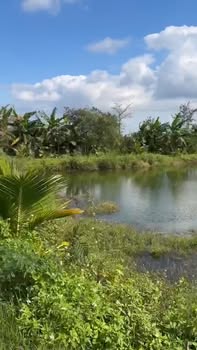 Farm 6 sào tại Thị trấn Phước An, Đắk Lắk - Giá chỉ 4.3 tỷ, tiện ích đầy đủ!