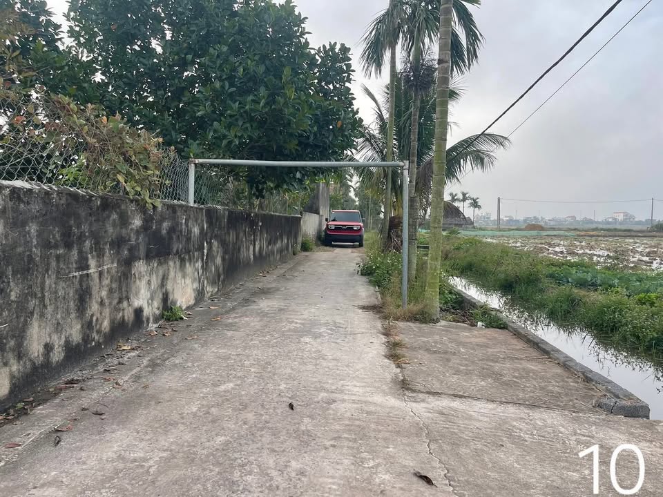 Đất nền khu 8 Rạng Đông, Nghĩa Hưng 350m² giá chỉ 800 triệu - Cơ hội đầu tư hấp dẫn!