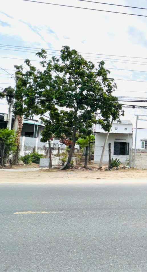 Đất nền mặt đường 21/8, Quận 8, 183m² - Cơ hội đầu tư sinh lời ngay!