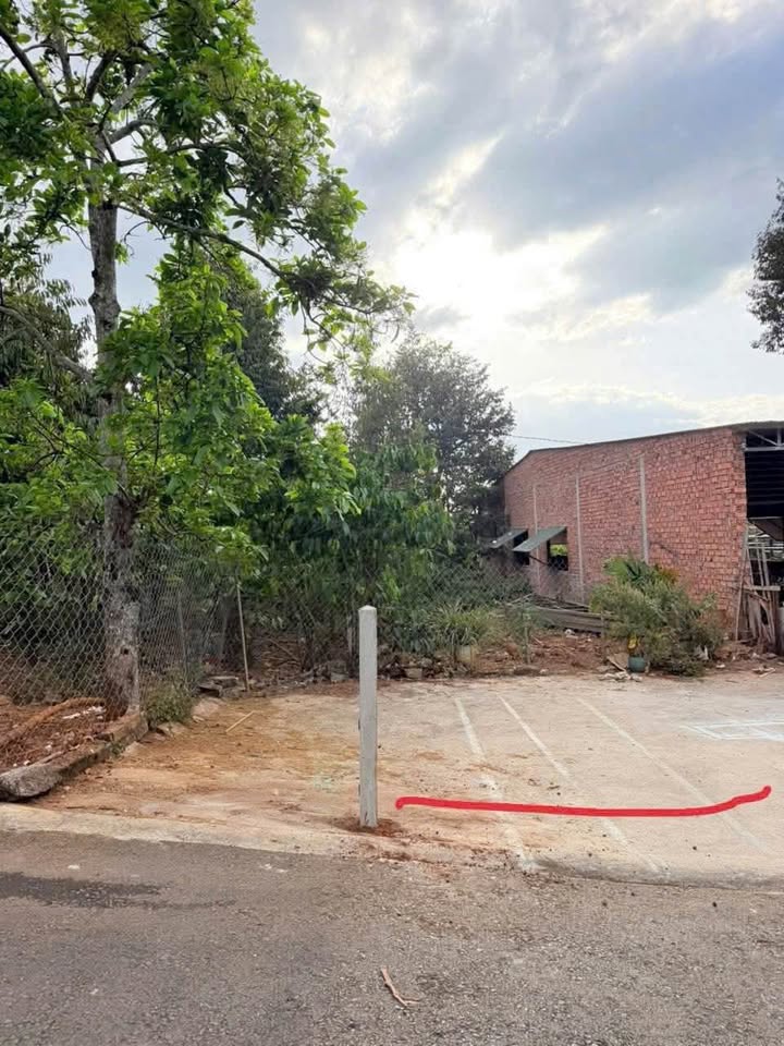 Đất nền hẻm 112 Mạc Đĩnh Chi, Bảo Lộc 120m² giá 1.35 tỷ - Đầu tư sinh lời