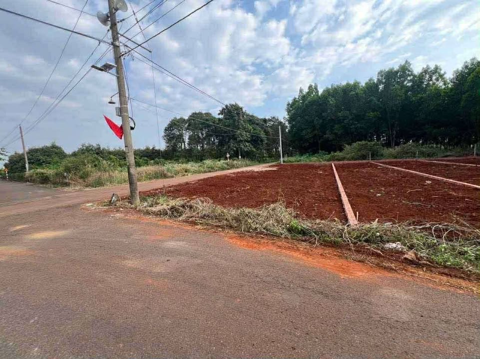 Đất Láng Lớn, Châu Đức, Bà Rịa - Vũng Tàu 150m² giá 675 triệu - Cơ hội đầu tư tốt!