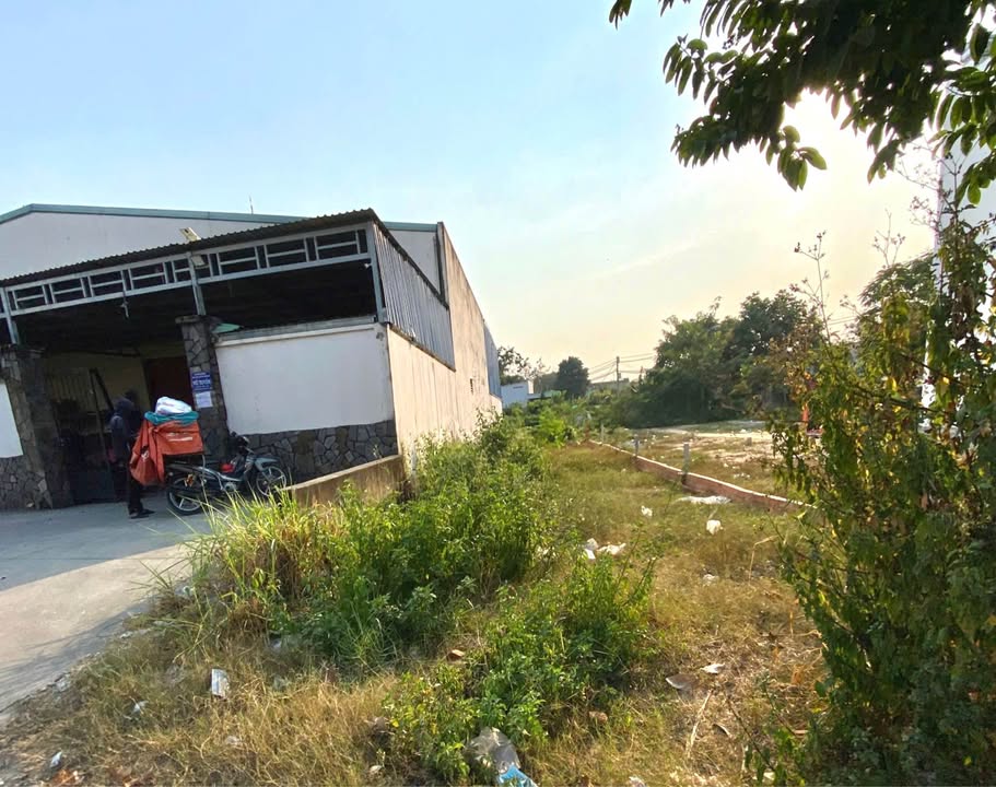 Đất nền đường số 9, xã Tân Thông Hội, Củ Chi 105m² - Kinh doanh thuận lợi!