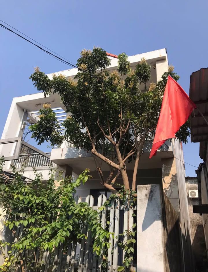 Nhà mặt tiền Võ Nguyên Giáp TP Huế 160m² giá 8.1 tỷ - Không gian sống lý tưởng!