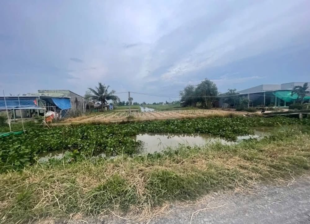 Đất thổ cư 300m² tại xã Tân Điền, Gò Công Đông - 5.120m² giá 3 tỷ - Vị trí đẹp gần biển!