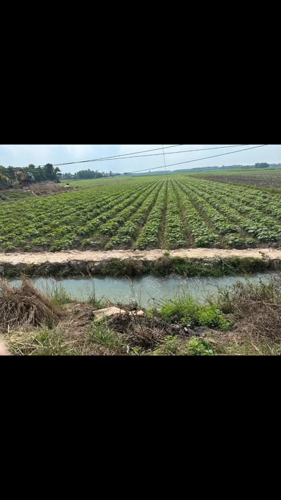 Đất mặt tiền đường QL 788, xã Đồng Khởi, 1150m² giá 1.38 tỷ - Đầu tư sinh lời ngay!