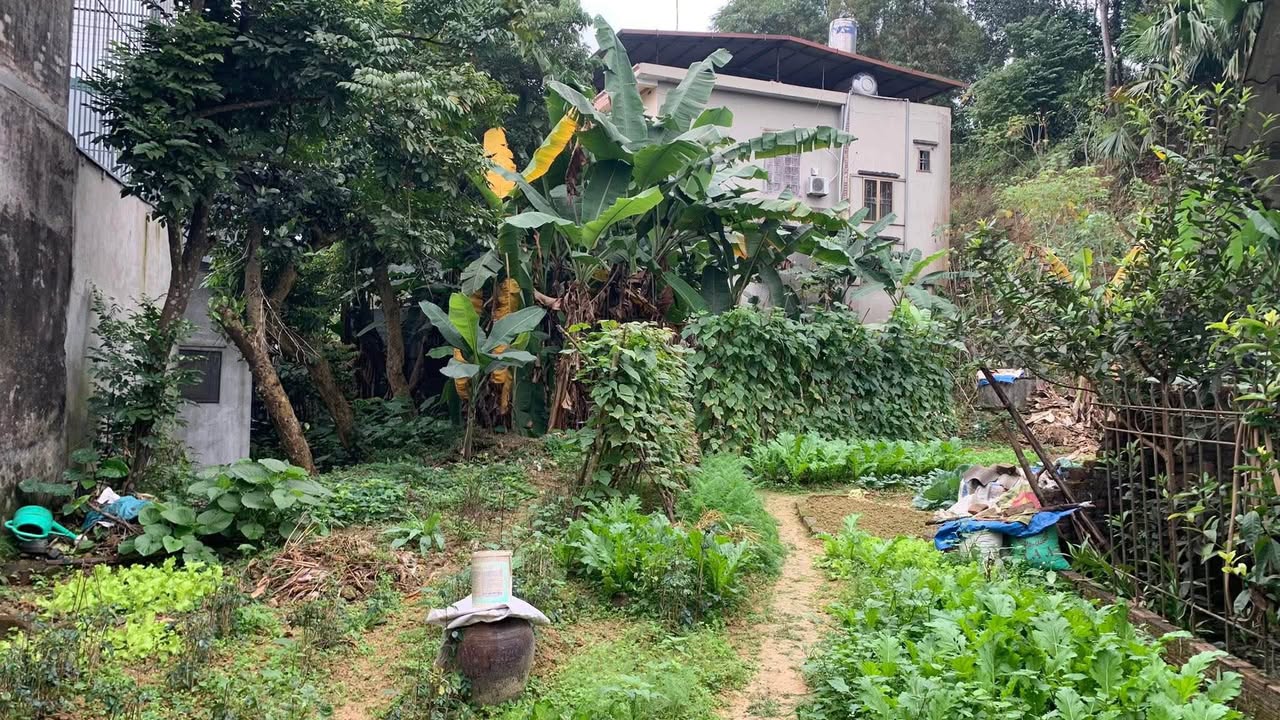 Đất vườn mặt đường Nguyễn Khắc Nhu, Tây Hồ, 500m² - Cơ hội đầu tư tuyệt vời!