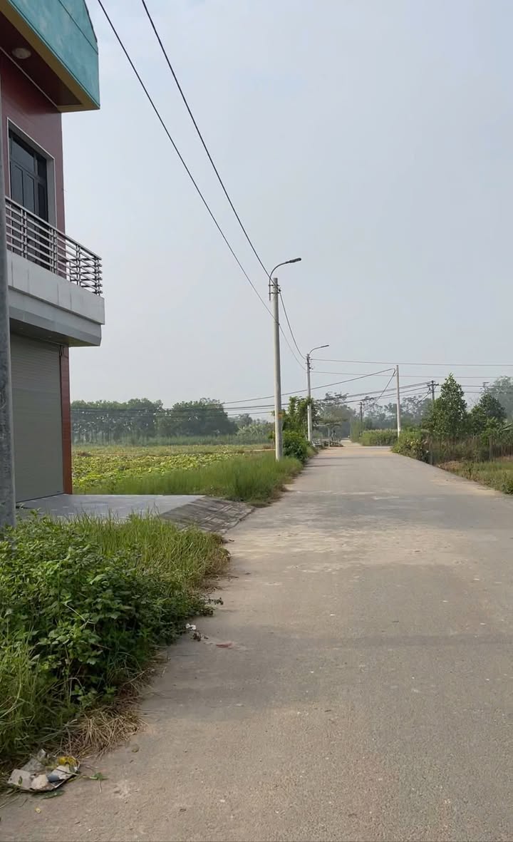 Đất đấu giá Xã Yên Bình, Huyện Vĩnh Tường 120m² giá 1.6 tỷ - Đầu tư sinh lời ngay!