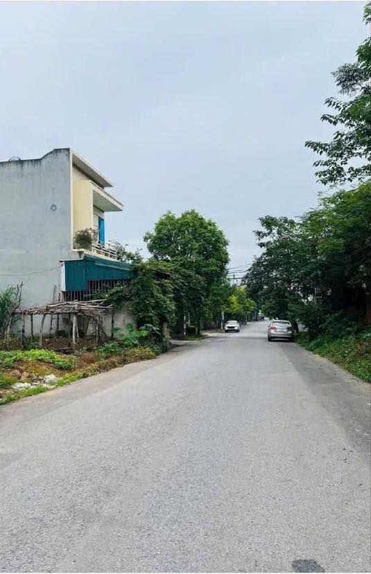 Đất nền trục chính ngõ 5 Tô Hiến Thành 102m² giá 2 tỷ - Đường rộng ô tô tránh!