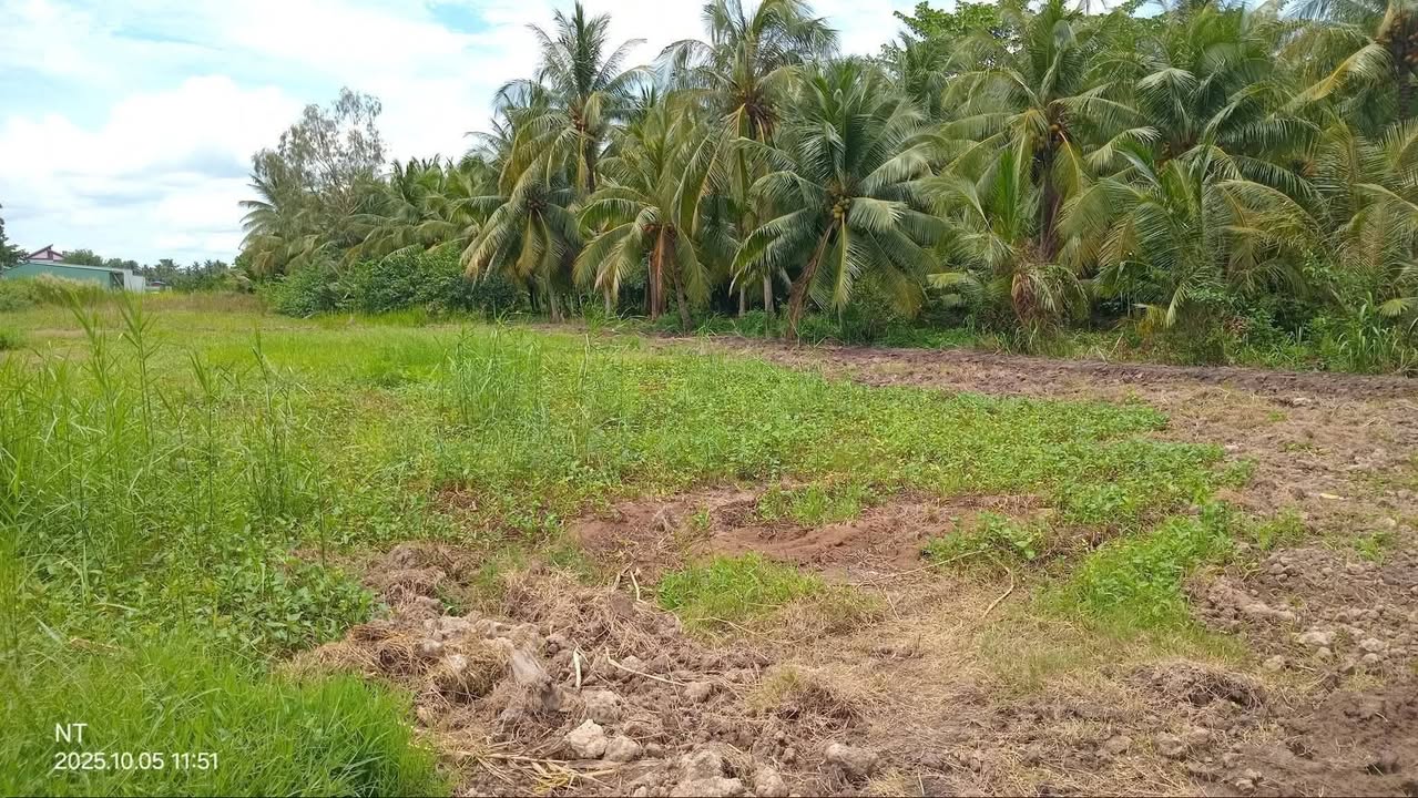 Đất nền 115m² Tân An Hội, Vĩnh Long chỉ 390 triệu - Đầu tư sinh lời hấp dẫn!