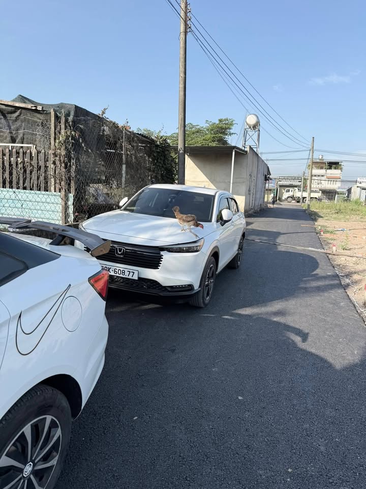 Đất thổ cư Ấp Tân Hưng, Xã An Viễn, 95m² giá 1.19 tỷ - Sổ đỏ chính chủ