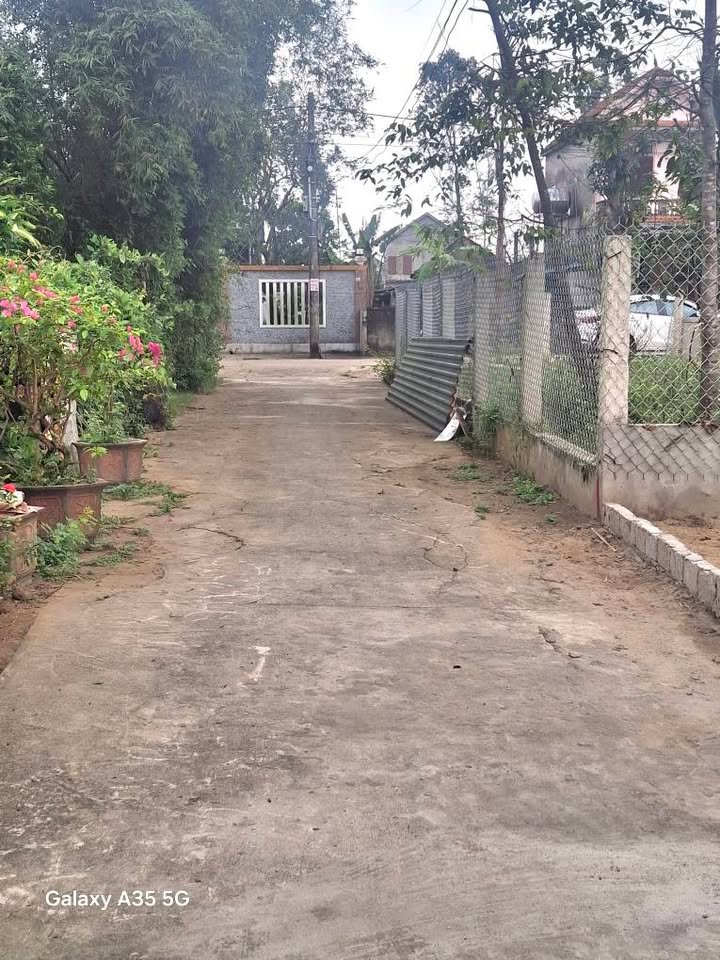 Đất nền Nghi Trường 142m² giá chỉ 9xx triệu - Cơ hội đầu tư tuyệt vời!