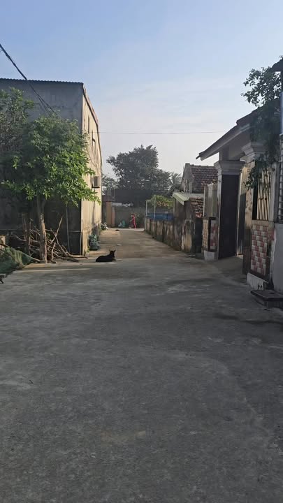 Đất nền Xã Diễn Kỷ, Huyện Diễn Châu 130m² giá 1 tỷ - Đầu tư sinh lời ngay!