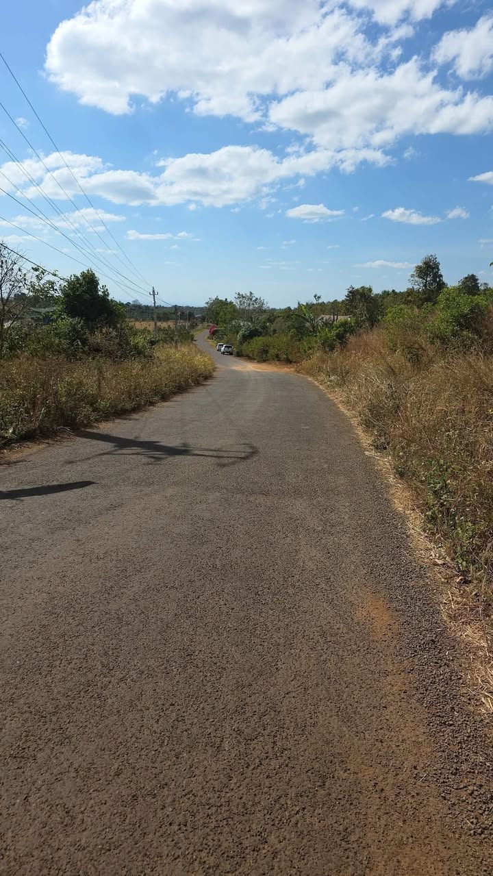 Đất nền 6000m² mặt tiền đường liên huyện - Giá chỉ 3,1 tỷ VND