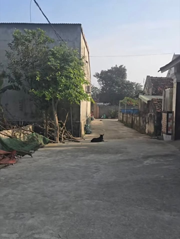 Đất nền Quốc Lộ 1A, Xã Diễn Kỷ, 130m² giá 1 tỷ - Cơ hội đầu tư hấp dẫn!