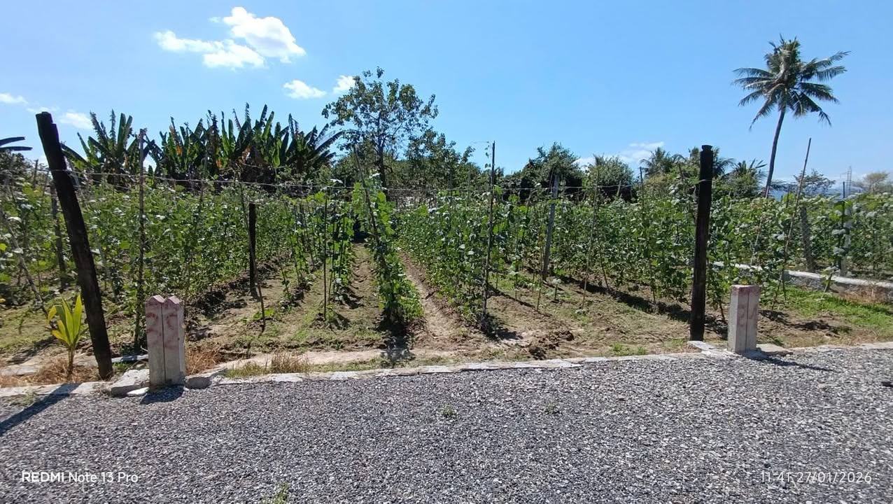 Đất nền Diên Sơn, Huyện Diên Khánh, 105m² giá 740 triệu - Đầu tư sinh lời ngay!