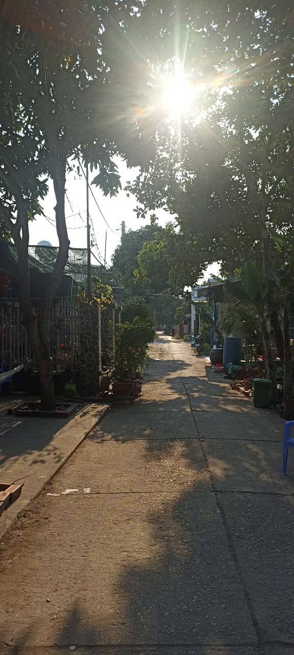 Đất nền 787m² tại Xã Tân Long, Chợ Mới - Giá chỉ 650 triệu - Cơ hội đầu tư tuyệt vời!