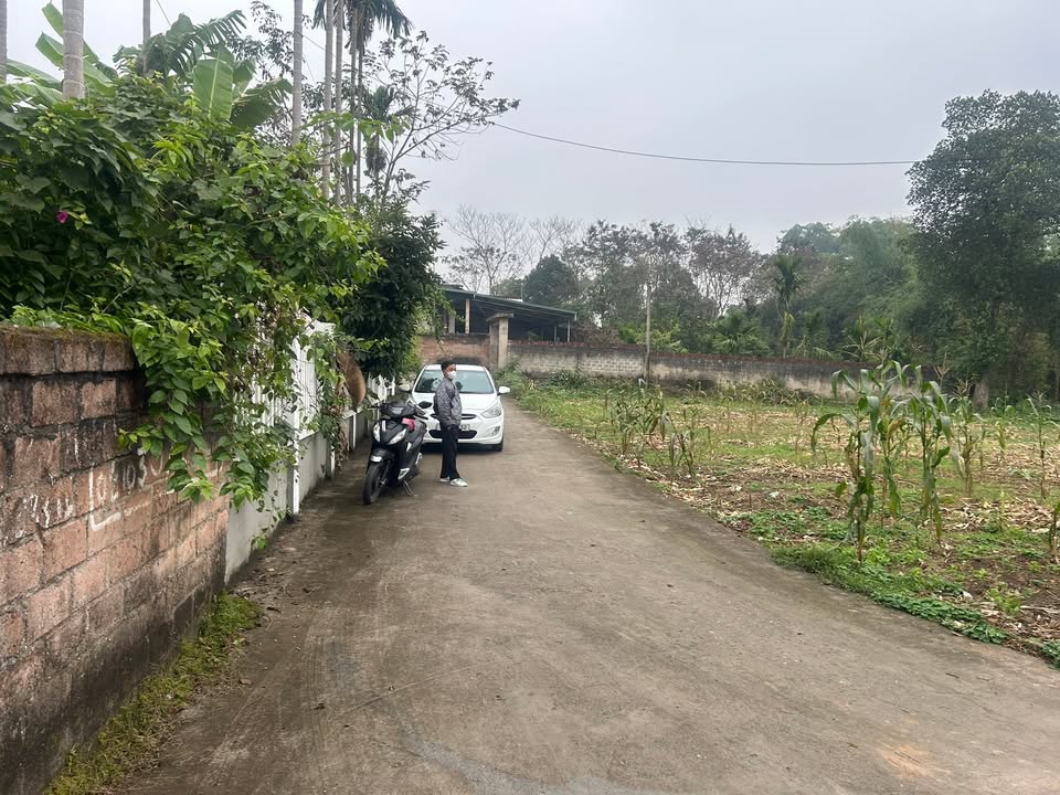 Đất thổ cư 100m² tại Xã Phương Lĩnh, huyện Thanh Ba giá 500 triệu - Sổ hồng chính chủ!