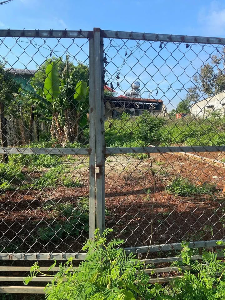 Đất nền 150m² tại xã Hòa Khánh, Buôn Ma Thuột giá chỉ 700 triệu - Tiềm năng đầu tư lớn!