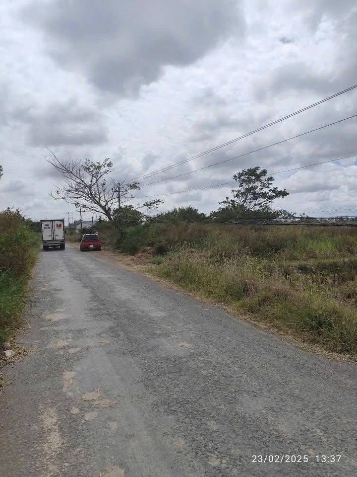 Đất mặt tiền ấp Tổng Cáng, xã Liêu Tú, 11.000m² giá 2.3 tỷ - Cơ hội đầu tư hấp dẫn!